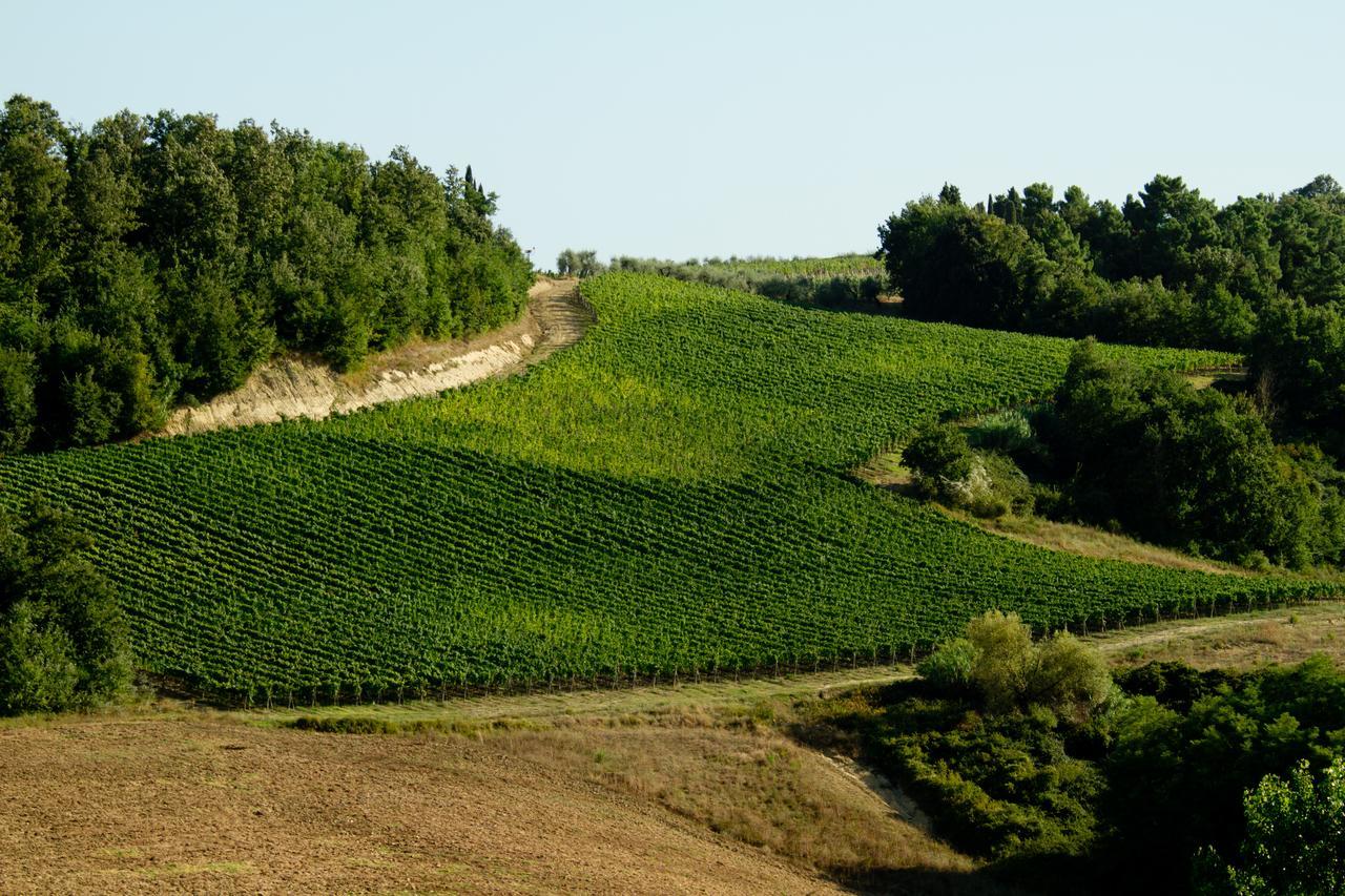 Fattoria Fibbiano Villa Terricciola Bagian luar foto