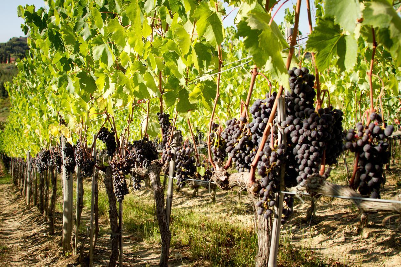 Fattoria Fibbiano Villa Terricciola Ruang foto