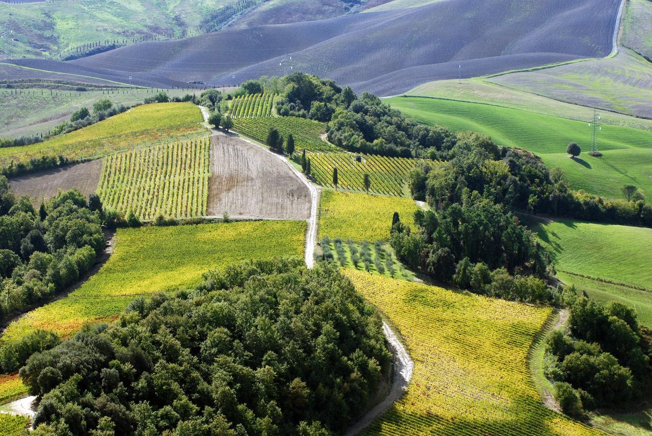 Fattoria Fibbiano Villa Terricciola Bagian luar foto